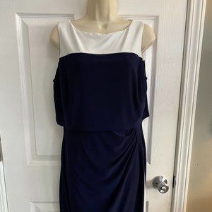 Navy Blue & White Sleeveless Dress